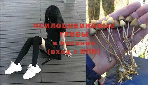 mix Арсеньев
