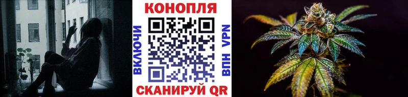 Бошки Шишки сатива  Павлово 